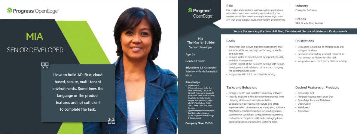 Persona: Mia, Senior Developer