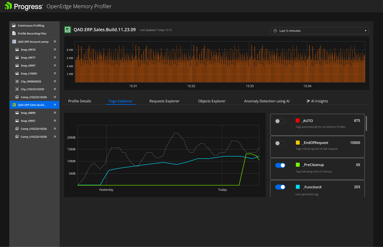 Tags Explorer: memory tags AUTO, EndOfRequest, PreCleanup and _functionX plotted over time