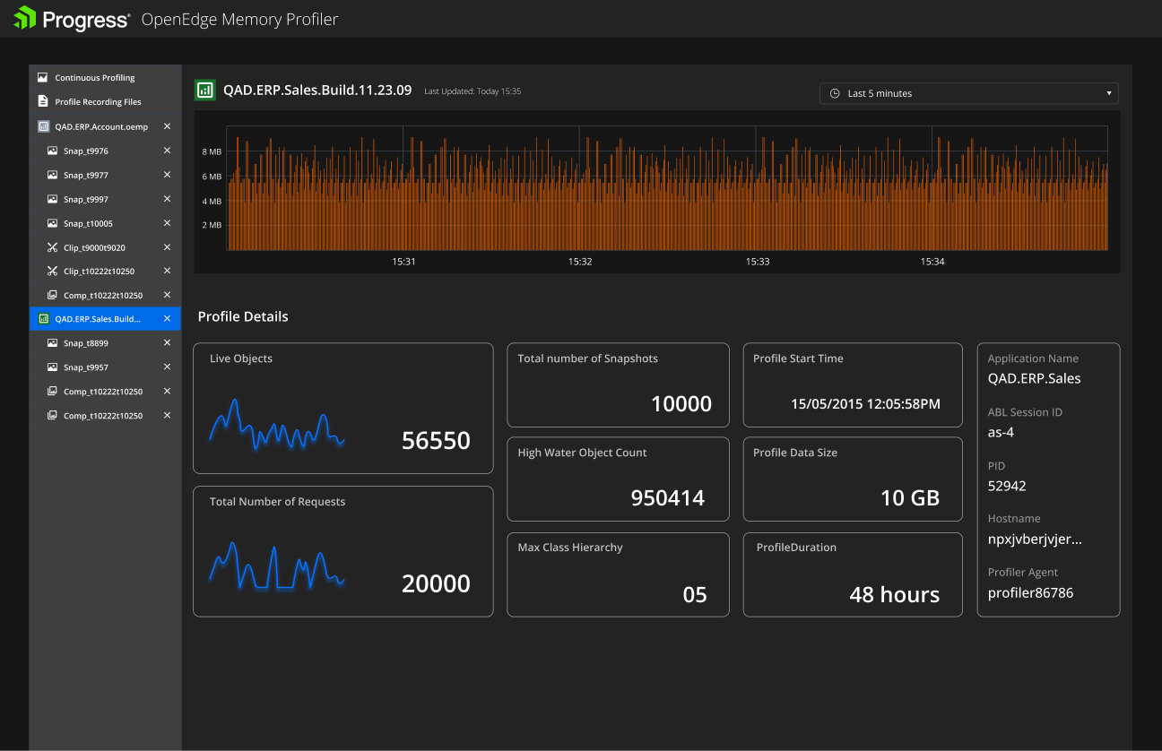 OpenEdge Memory Profiler: live object and memory graphs alongside profile details